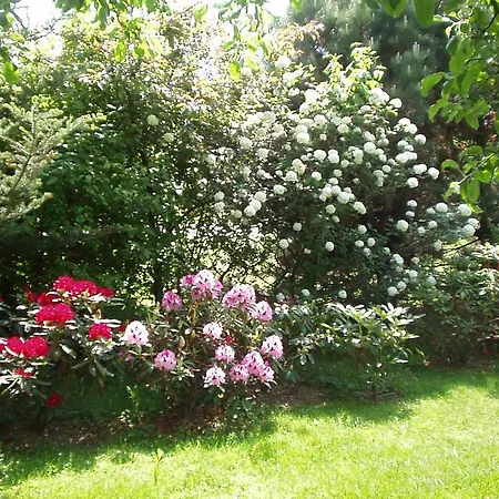 Gasthof Pension&apartments Ertl