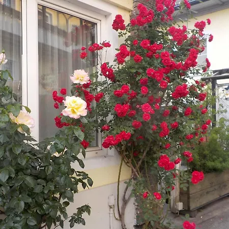 بيت ضيافة & Ertl سيبودن