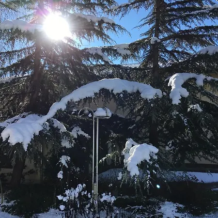 Pension&apartments Ertl