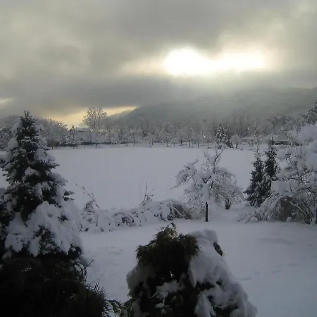 Pension&apartments Ertl Gasthof 3*