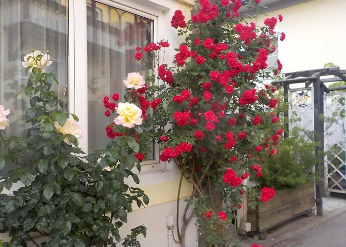 Guest house & Ertl Seeboden